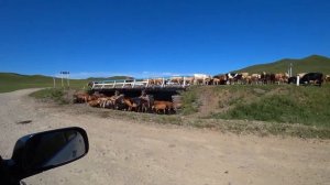 ПО ДОРОГАМ ЗАБАЙКАЛЬЯ|ЧАСТЬ 1|