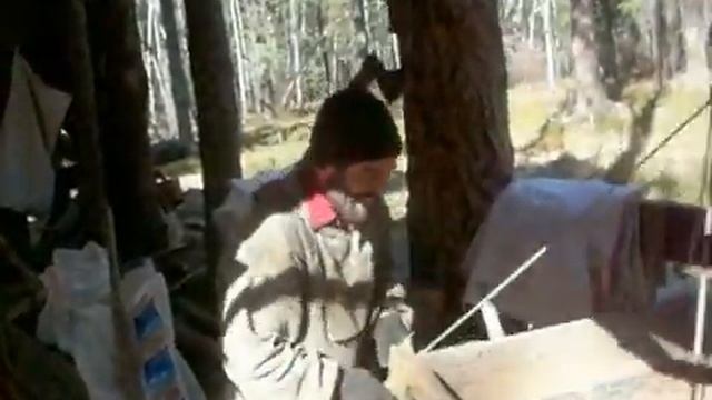 ОРЕХ КЕДРОВЫЙ ОБРАБОТКА ЧАСТЬ 2 смотреть онлайн