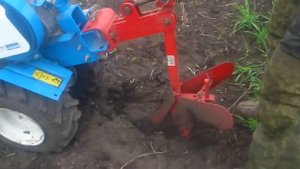 Сажаем витаминную фасоль журавушка