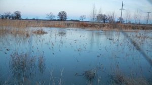 Река Добрая город Суровикино