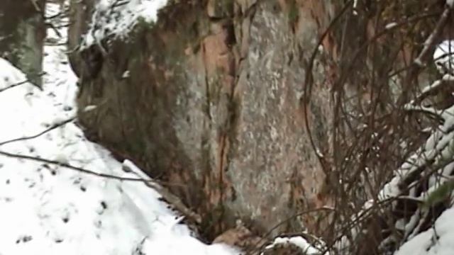 Медвежья берлога смотреть онлайн