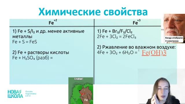 НШ | Химия. Химия железа: когда писать +2, а когда +3