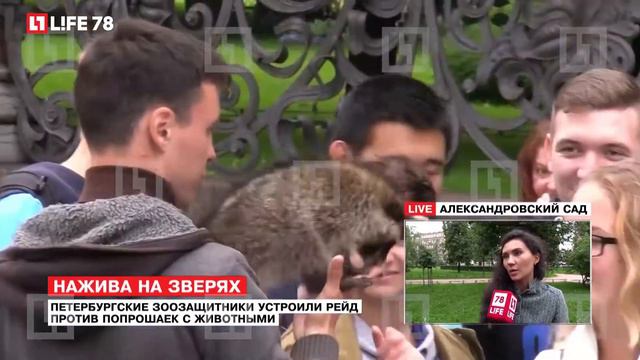 Петербургские зоозащитники устроили рейд против попрошаек с животными