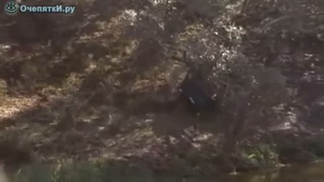 Резкий водитель на бездорожье смотреть онлайн