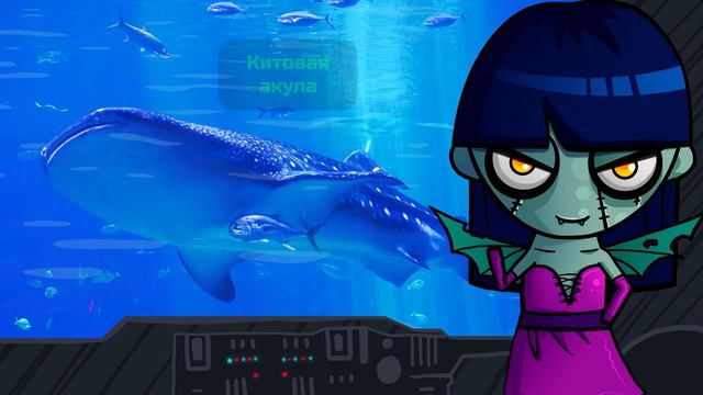 Когда твоя девушка ОЧЕНЬ БОЛЬШАЯ | Самые большие и самые маленькие жители Земли (анимация) смотреть онлайн