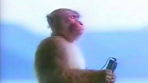 Обезьяна в наушниках слушает кайфовую музыка