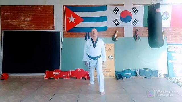 Posiciones Básicas importantes en Taekwondo martialarts
