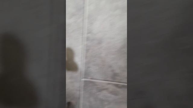 ЛОВИ ИДЕЮ. Лучший способ монтажа ПВХ панелей в ванной комнате без обрешетки. смотреть онлайн