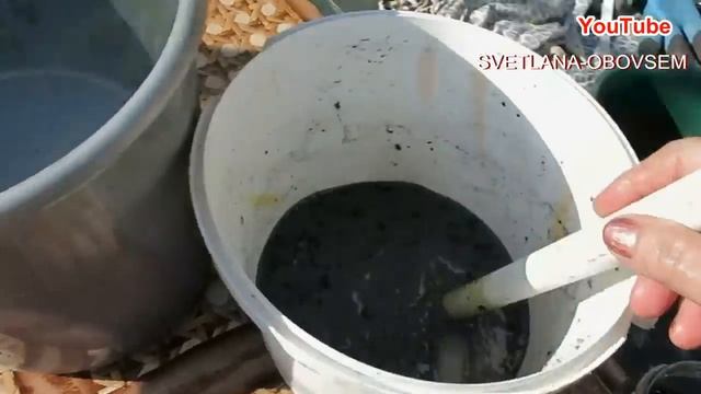 СУПЕР  ПОДКОРМКА во ВРЕМЯ  ЦВЕТЕНИЯ  КЛУБНИКИ..ДЛЯ УРОЖАЯ КРУПНЫХ,СЛАДКИХ ЯГОД