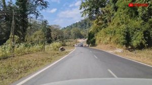 Arunachal trip | Namsai Wakro Tezu Roing Dambuk Pasighat | 7th KM resort | Golden pagoda | Audi Q3