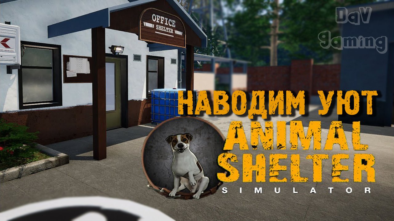 Наводим уют / Animal shelter #7