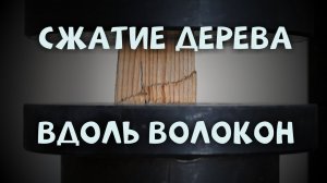 Сжатие древесины вдоль волокон. Сопромат