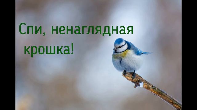 "Синичку ветер баюкал", два голоса. смотреть онлайн