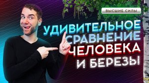 БЕРЁЗА и ЧЕЛОВЕК. Что нас объединяет и разделяет? Владимир Брилёв