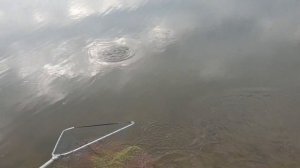 Ловля ОГРОМНЫХ САЗАНОВ и КАРАСЕЙ на реке на ФЛЭТ МЕТОД