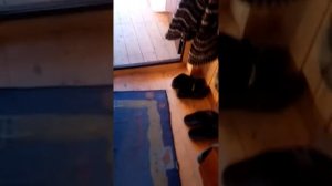 Protherm pantera 25 кто и бойлер косвенного нагрева Drazice