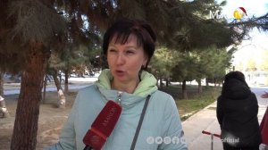 ИСТОРИЯ ЗАБЕТОНИРОВАННЫХ ДЕРЕВЬЕВ