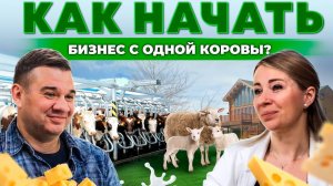 Бизнес на коровах | Сколько приносит сыр и молоко? Своя еда