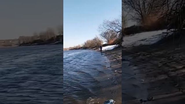 Ловля Жереха. Китайский кастмастер. Простая рыбалка. Fishing. #shorts