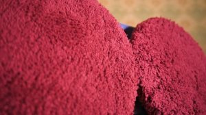 ЛУЧШИЙ робот-мойщик окон 2023 года? Обзор НОВИНКИ Atvel Zorro Z6