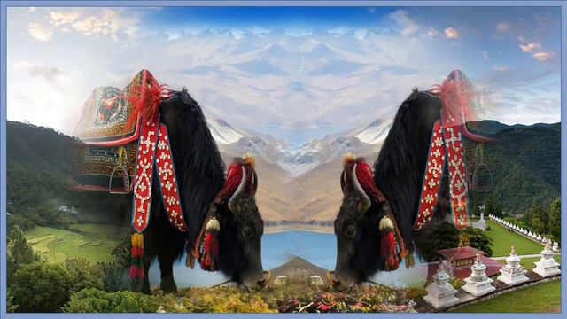 Королевство Бутан . Гималаи . Страна счастья . Красивые пейзажи.Удивительные животные. смотреть онлайн