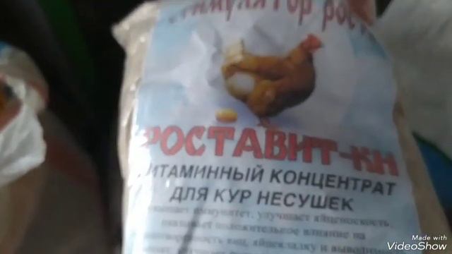 Какой корм купила для курочек?