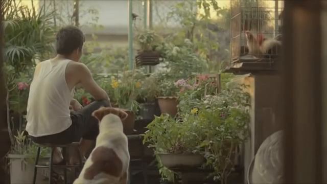 Доброта спасет мир! Смотреть обязательно! смотреть онлайн