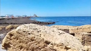 Крым Раздольненский район село Портовое 2019 год