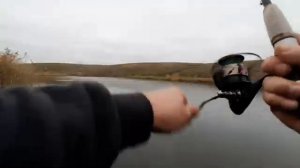 попал на жор щуки...