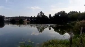 Первый коттеджный поселок в Тамбовской области!