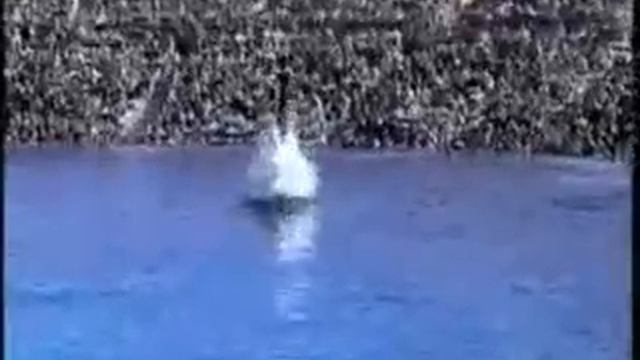 Касатка и человек.flv смотреть онлайн