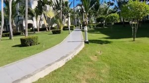 Доминикана. Riu Palace Bavaro. В восторге от номера, территория и океан
