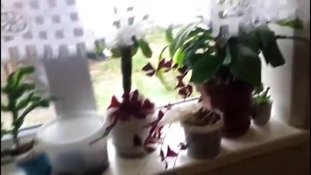 Кособродск 31 мая,Отопление |  Монтаж системы коузи. Компания тепло 45