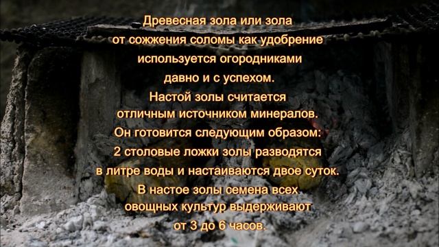 Замачивание семян в зольном настое смотреть онлайн