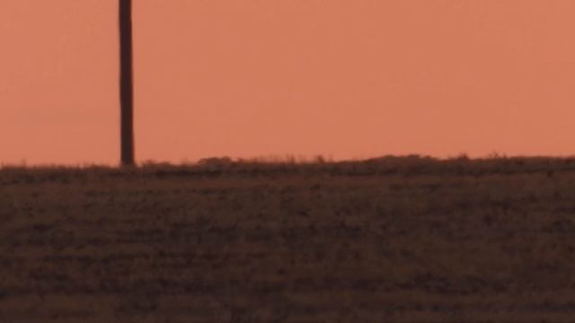 Зум 125 крат оптический и четыре цифровой - фотоаппарат 24 июля 2021 смотреть онлайн