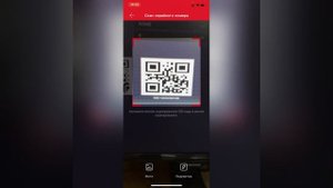 Установка и настройка приложения BitVision