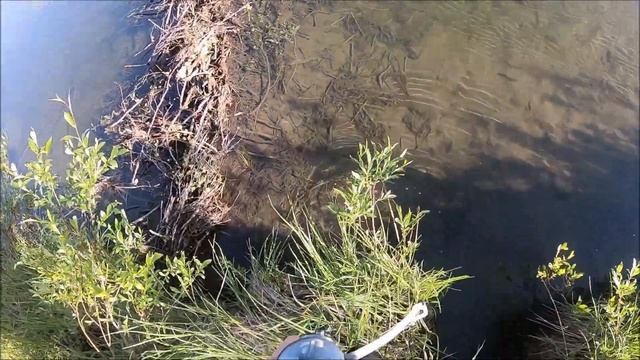 Katadyn Vario Water Filter Review смотреть онлайн