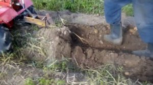 Навесное оборудование для мотоблока в действии. Часть 1