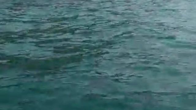 Обзор пляжей ГОА. Пляжи Калангут, Кандолим, Палолем, Агонда и др.