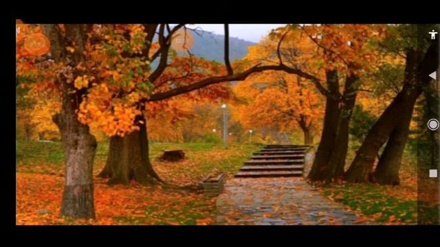 Sonnet poem 7th english смотреть онлайн