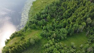 Продам участок 50 соток в деревне на берегу озера в шаговой доступности от системы озёр Селигер