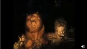 Мишка втирает Ёжику философию Ухода в туман