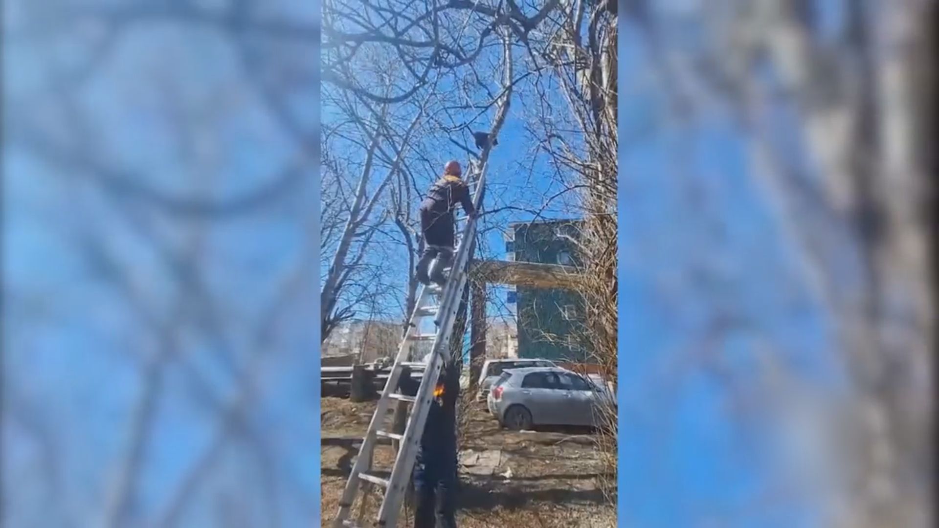 СПАСЛИ ПУШИСТУЮ ПОСТРАДАВШУЮ