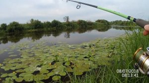 Ловля щуки на джиг. Ловля окуня. Рыбалка на спиннинг в июле