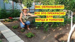 Огород без химии, вершинная гниль на перце и помидорах
