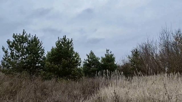 12 января - День Анисьи Зимней. Что можно и нельзя делать. Народные приметы и традиции.