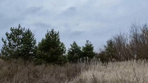 12 января - День Анисьи Зимней. Что можно и нельзя делать. Народные приметы и традиции.