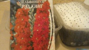 Дельфиниум сеем на снег.