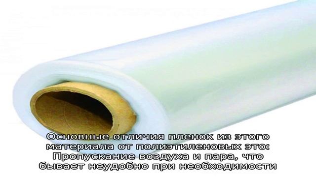 Полиэтиленовая пленка