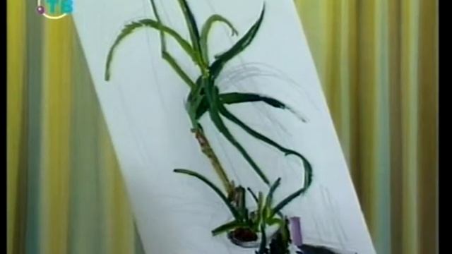 Уроки живописи Натюрморт в холодной гамме Передача 15 смотреть онлайн